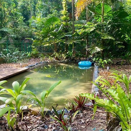 Daintree Siesta Villa Diwan ภายนอก รูปภาพ