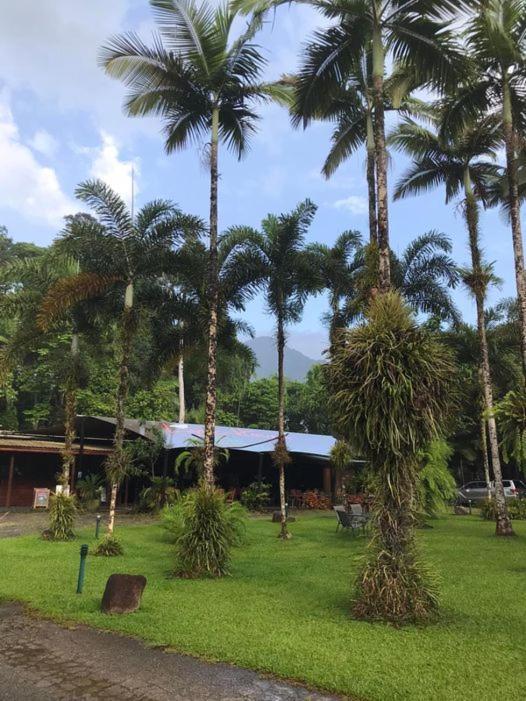 Daintree Siesta Villa Diwan ภายนอก รูปภาพ