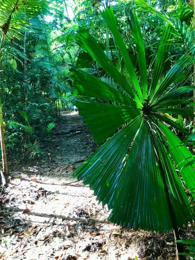 Daintree Siesta Villa Diwan ภายนอก รูปภาพ