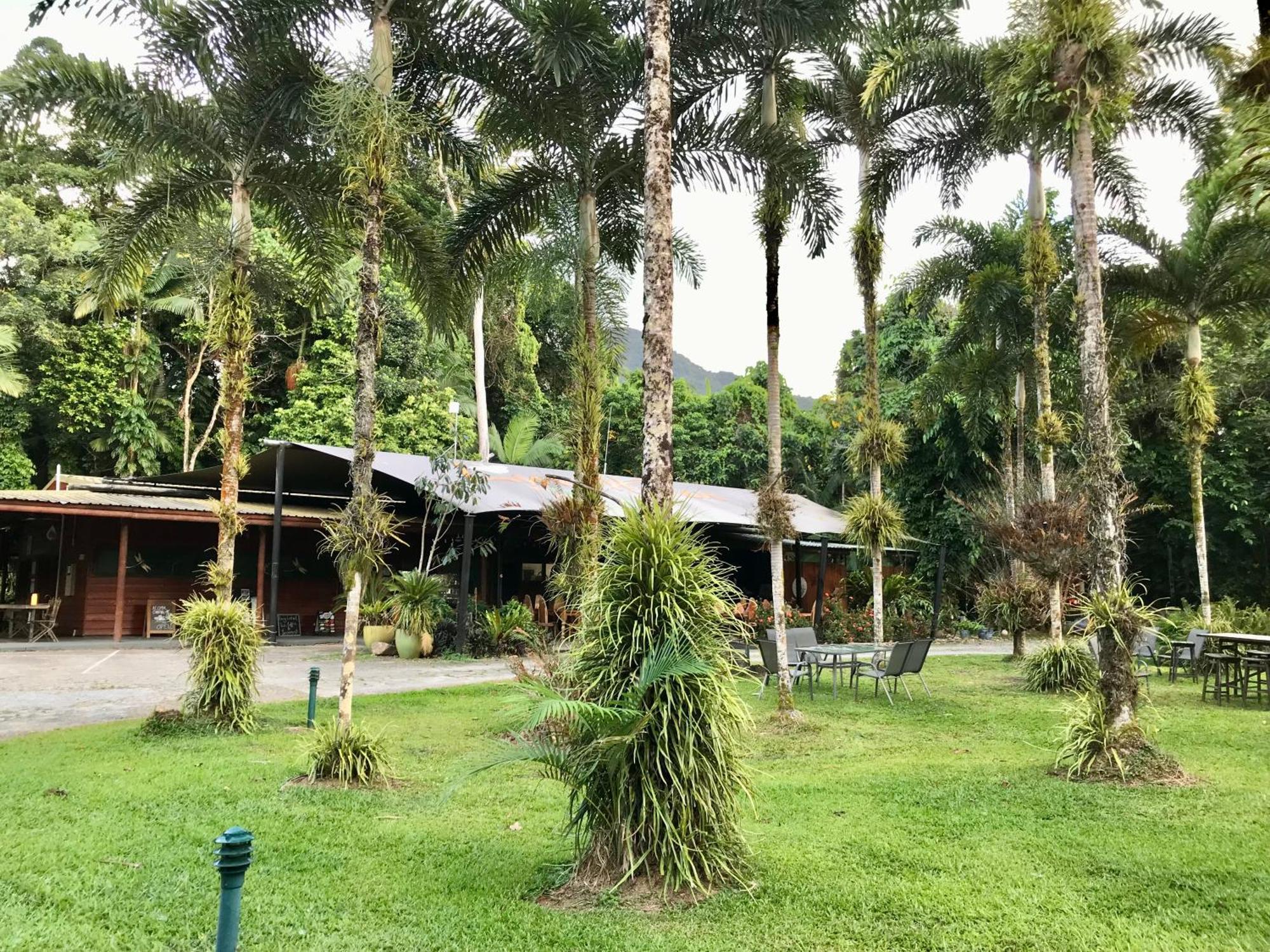 Daintree Siesta Villa Diwan ภายนอก รูปภาพ